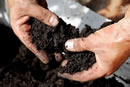 Soil Health, biological, sustainable, food quality, crop rotation